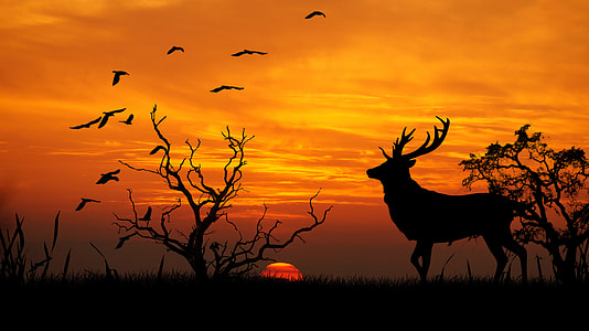 silhouette photo of moose and bare tree
