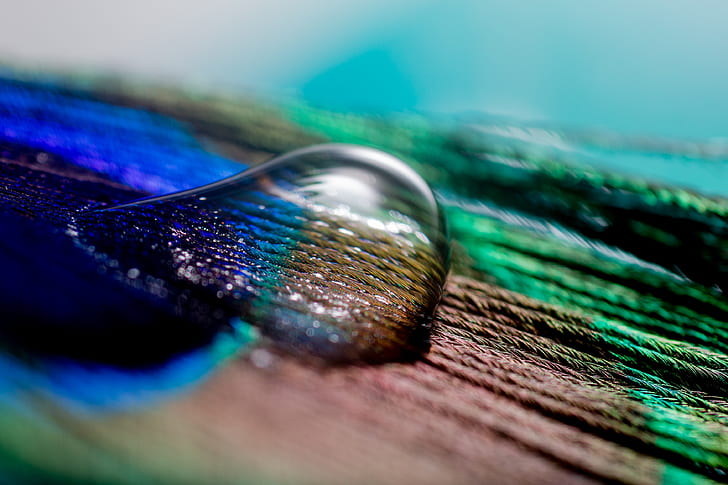 close-up photo of water drop on wooden surface