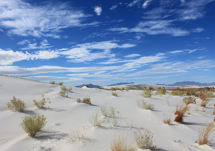 white and brown desert field under cloudy sky