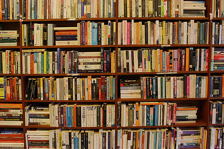 books in the shelves