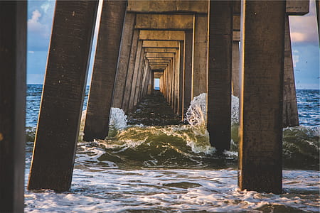 photo of dock pillars on body of water