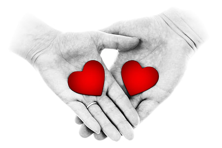 person's hand holding with heart