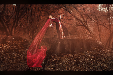 woman in black and red long-sleeved gown standing on gray rock under forest trees at daytime