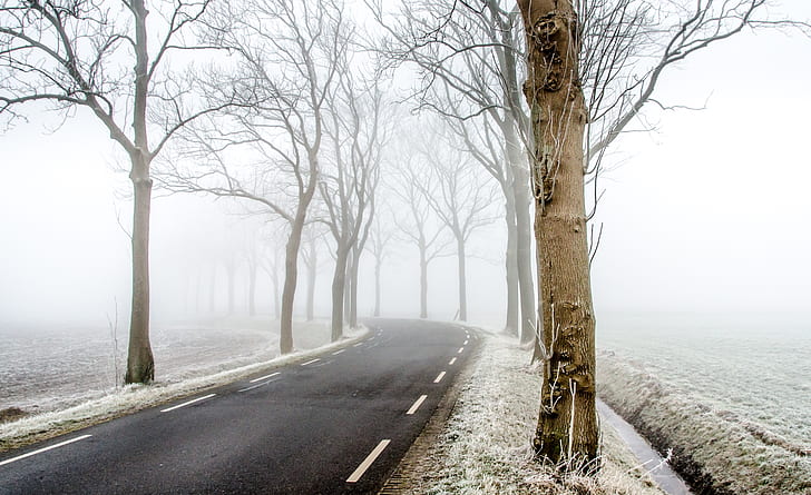 empty road with fogs
