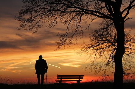 silhouette of person with cane near bench