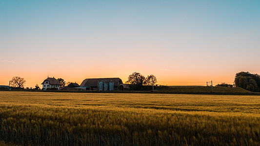 silhouette of houses and barns under clear skies during sunset shot from brown wheat field