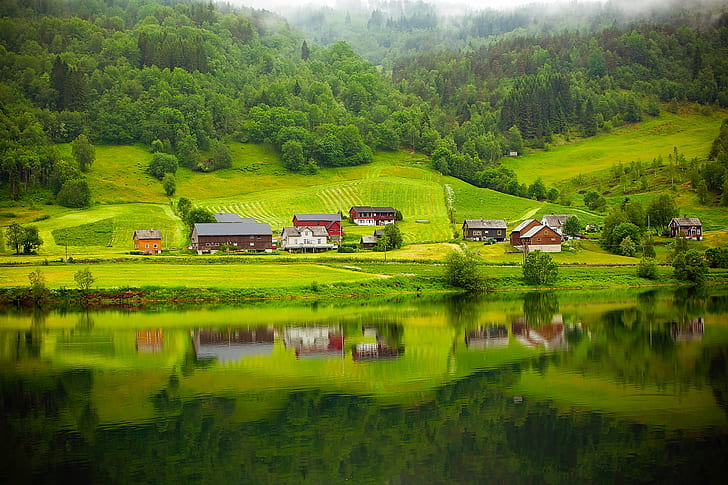 mirror reflection of village on mountain slope near thick forest