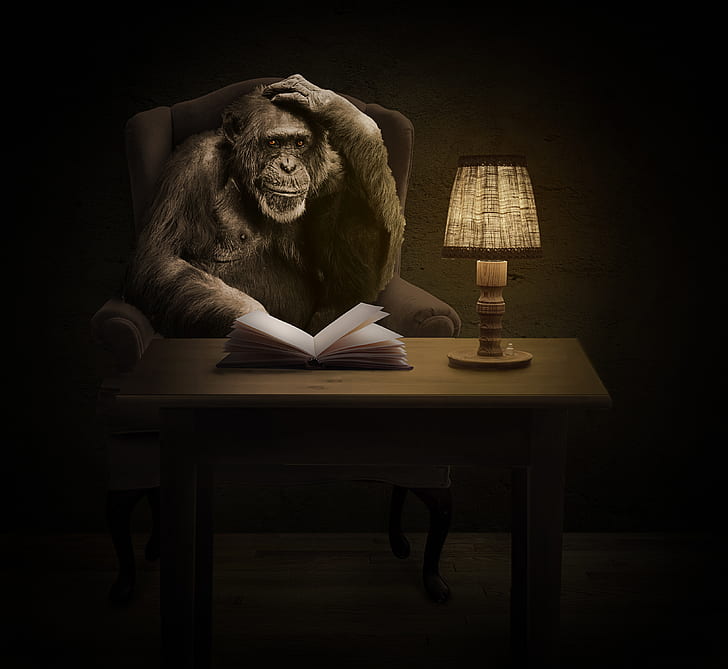 black monkey sitting on sofa chair beside white book and brown table lamp on brown wooden table