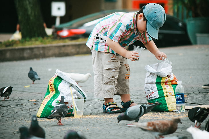 boy about to scoop on product sack using disposable cups near pigeons