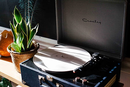 black Crosley vinyl record player beside snake plant