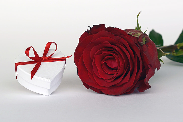 white heart gift box beside red rose
