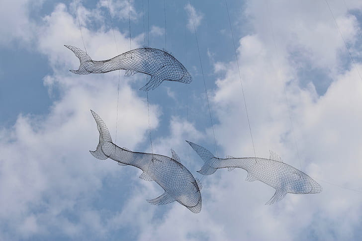 three fish string decor under white clouds and blue sky