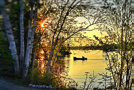 boat on body of water near trees during golden hour