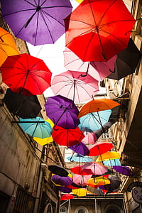 assorted-color umbrellas hanging on air