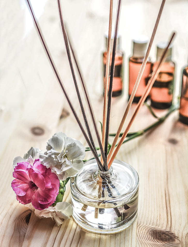 clear glass vase and brown decorative sticks