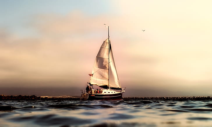 white boat sailing