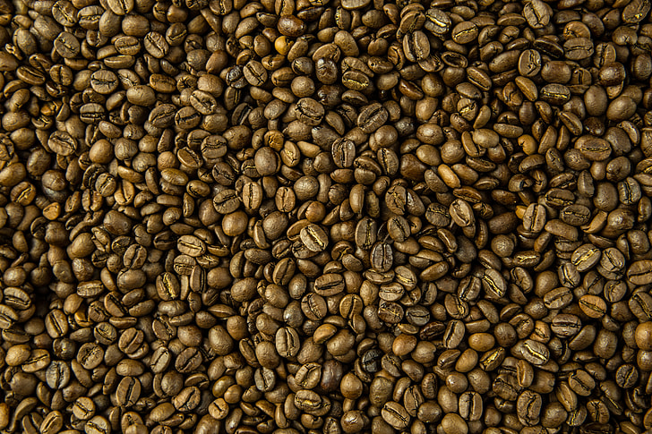 Close-up shot of fresh coffee beans
