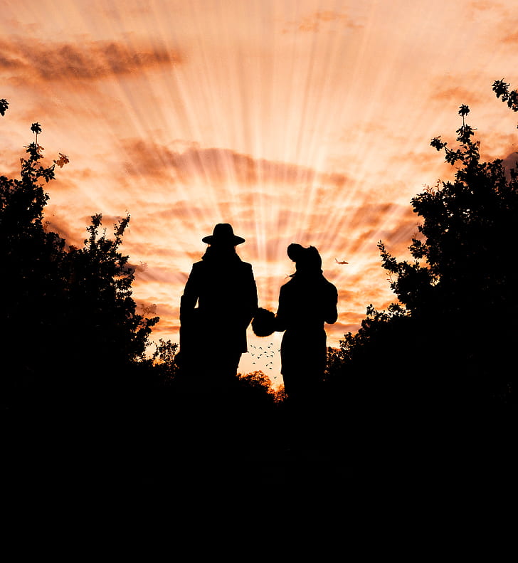 Silhouette Photo of Man and Woman Wearing Hat Standing Between Trees during Golden Hour