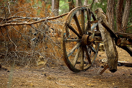brown carriage wheel beside twigs