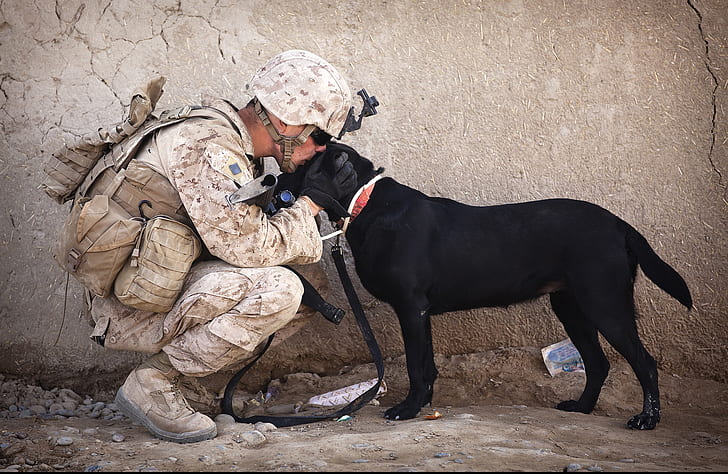 soldier kissing adult black Labrador retriever on head