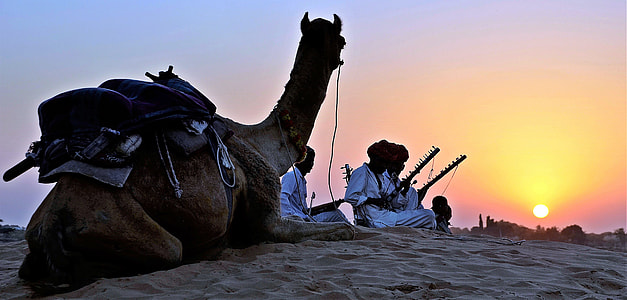 group of men sitting on sand near camel during sunset
