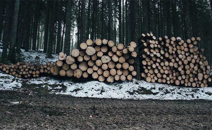 brown wood logs lot