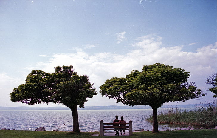 couple on bench between trees beside body of water