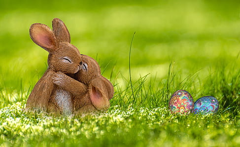 two brown rabbits on green grass with easter eggs during daytime