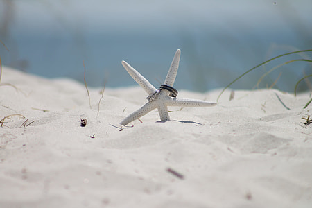 white starfish with two silver-colored rings on white sand