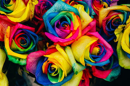 assorted-color paper flowers