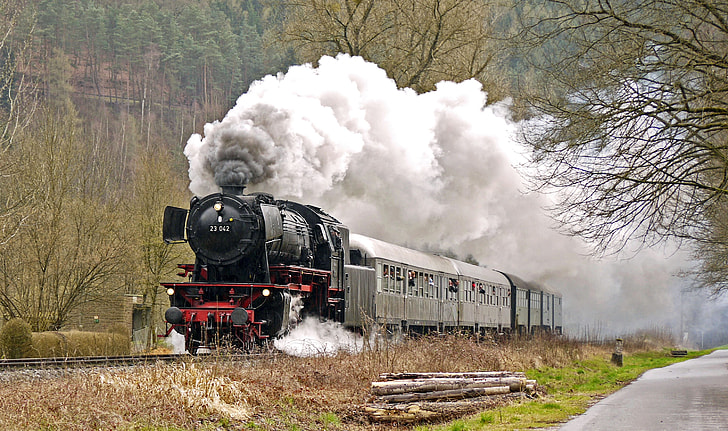 gray and black train near green tall tress