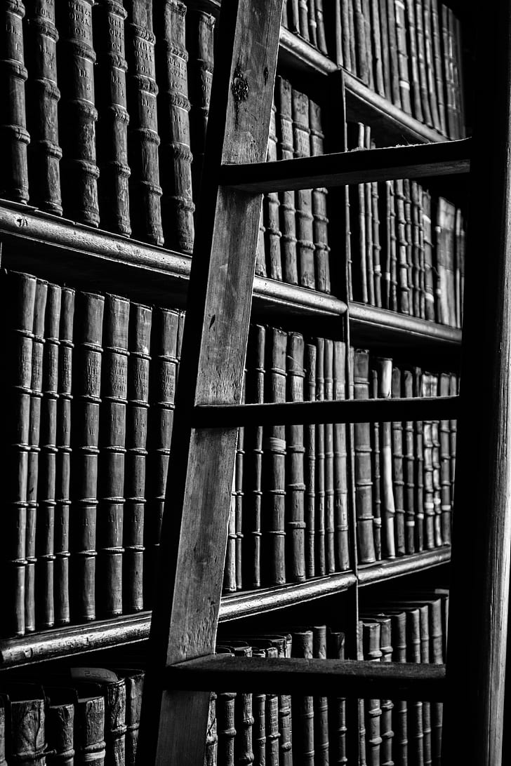 Grayscale Photography of Ladder Near Bookshelf