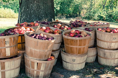 bunch of apples on brown wooden containers