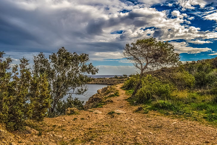 green leaf trees and grass on cliff by the sea under cloudy sky