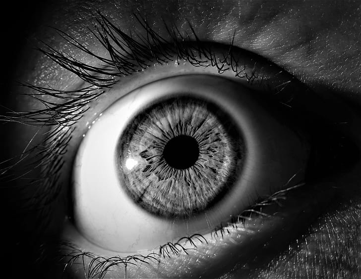grayscale photo of person's eye