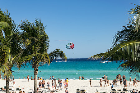 people on white sand beach shore during daytime