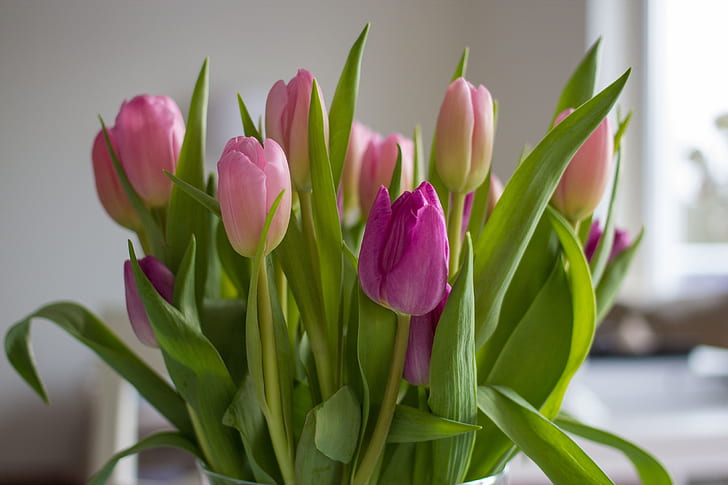 pink and purple tulip centerpiece