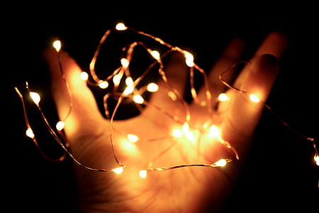 Person Holding String Lights