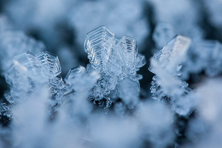 macro photography of ice crystals