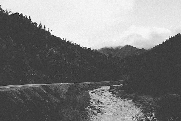 greyscale photography of road near river
