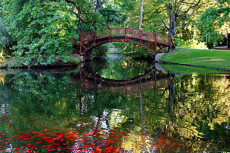 reflection of foot bridge on body of water
