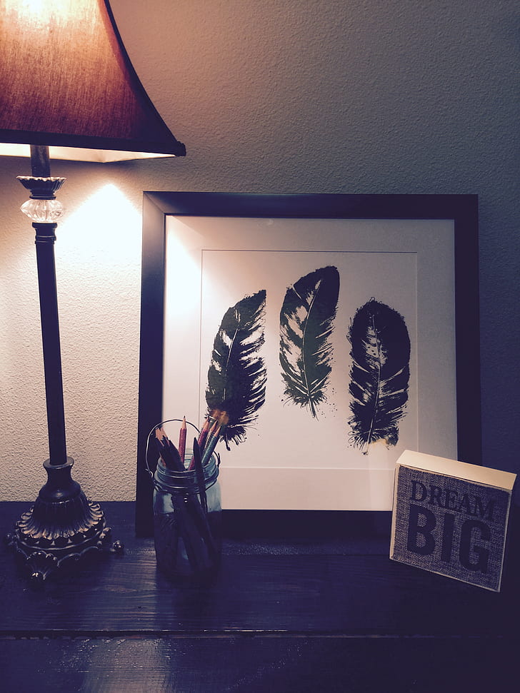 Black Feathers Painting Beside Brown and Black Lamp Shade