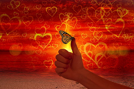 heart, love, like, thumb, butterfly, ease