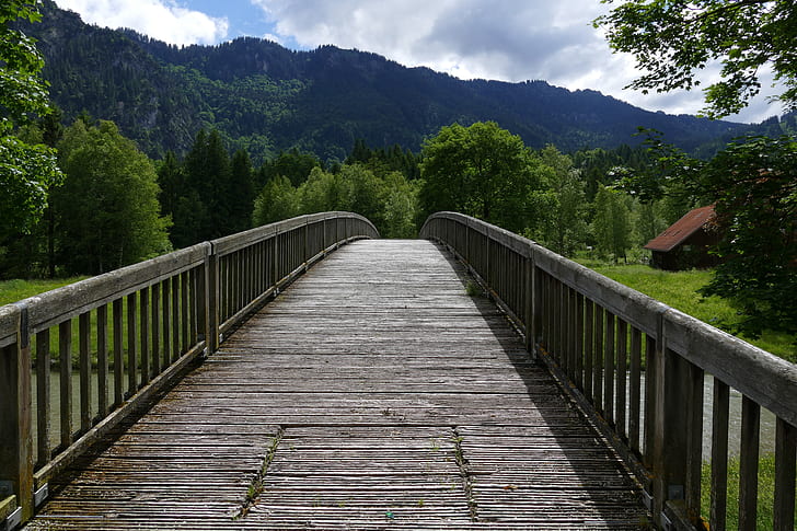 gray bridge within mountain range
