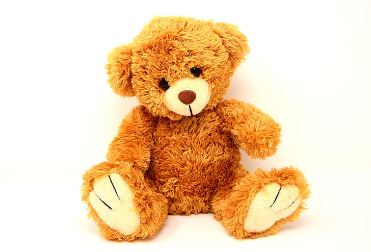 brown teddy bear plush toy