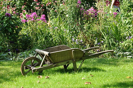 brown wheelbarrow in the middle of green field