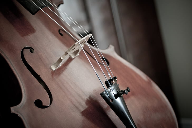 close-up photography of brown violin