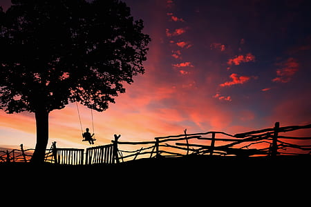 silhouette of person on swing during twilight