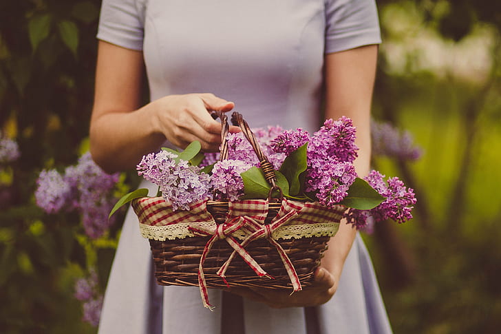 basket of purple petaled flowers