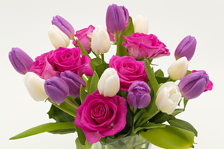 pink, white, and purple rose and tulip flower